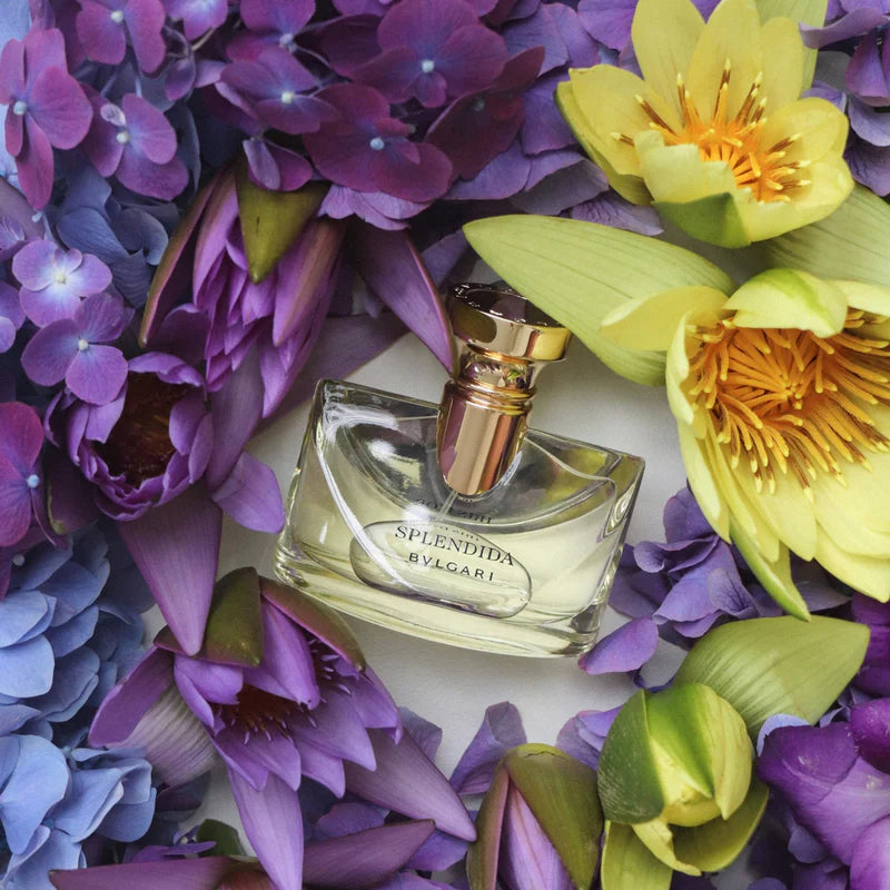 BVLGARI IRIS DOR