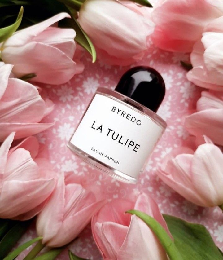 BYREDO LA TULIPE